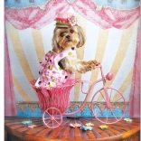 Puzzle Drømmer Rejse 500 brikker