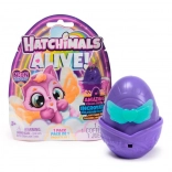 Hatchimals Neón Regnbue