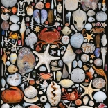 Puslespil Fra stranden 1000 brikker PIATNIK