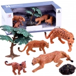 Leoparder