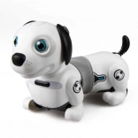 Interaktiv robot-hund Dackel med lys og smart bold