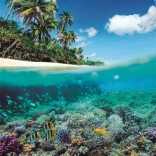 Puslespil Sommerparadis 1000 brikker fra Clementoni