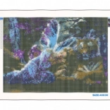 Diamond painting NORIMPEX – sommerfuglefe 30 × 40 cm