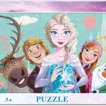 Puslespil Frozen: Familie 15 brikker
